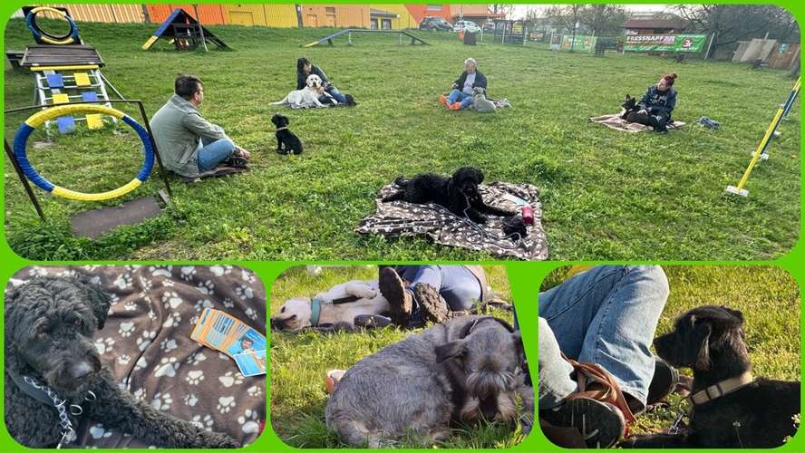 Hundeauslaufgebiet-Hundewiese Geraaue e.V.-Bild