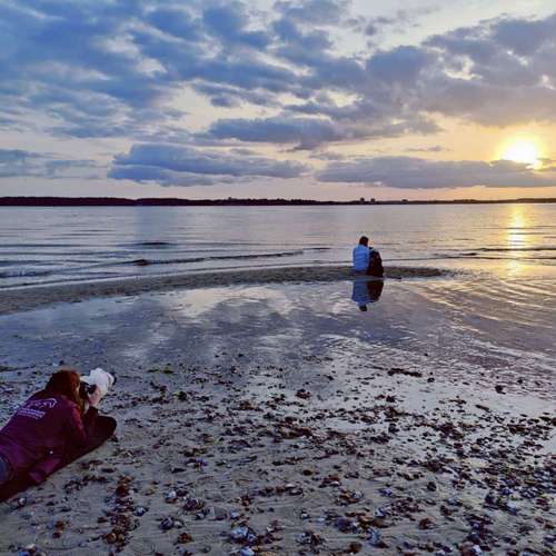 Hundeauslaufgebiet-Tierfotografie Elena Hofstede-Bild