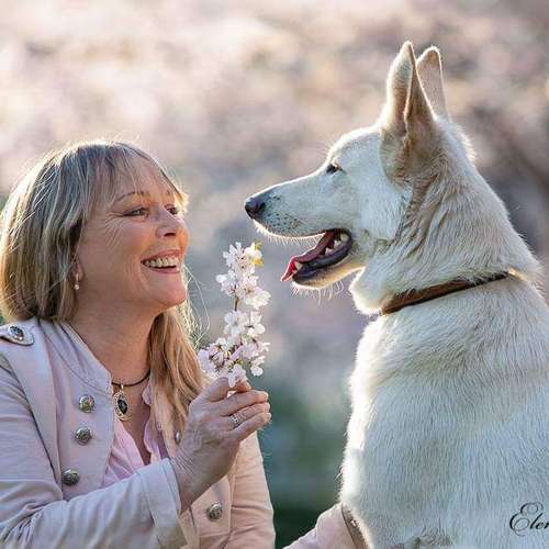 Hundeauslaufgebiet-Tierfotografie Elena Hofstede-Bild