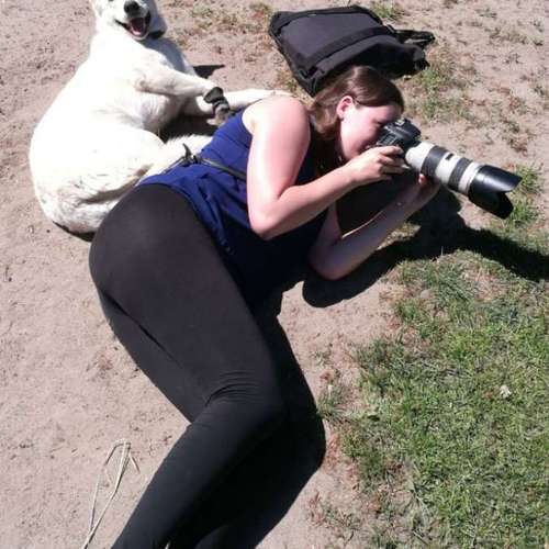 Hundeauslaufgebiet-Tierfotografie Elena Hofstede-Bild