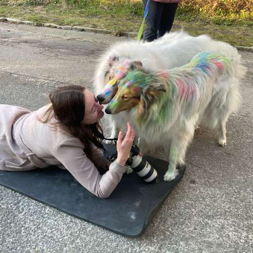 Hundeauslaufgebiet-Tierfotografie Elena Hofstede-Bild