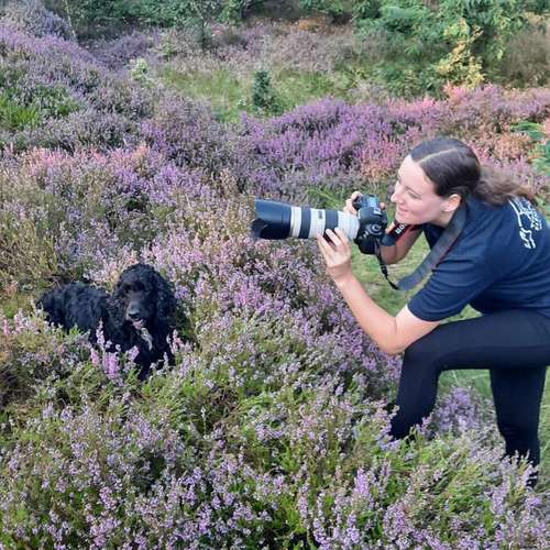 Hundeauslaufgebiet-Tierfotografie Elena Hofstede-Bild