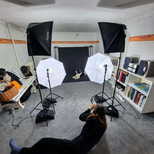 Hundeauslaufgebiet-Tierfotografie Elena Hofstede-Bild