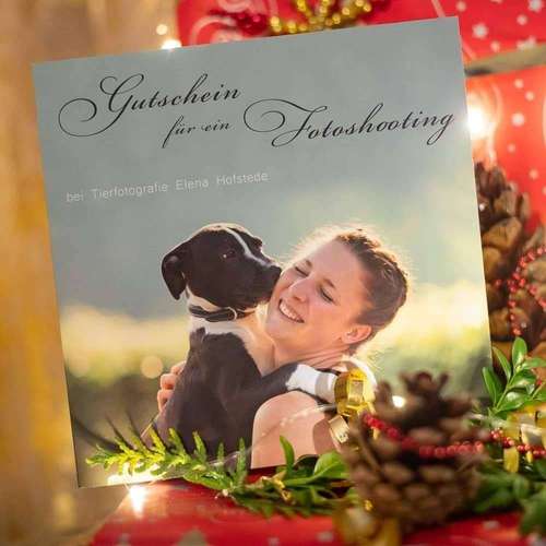 Hundeauslaufgebiet-Tierfotografie Elena Hofstede-Bild