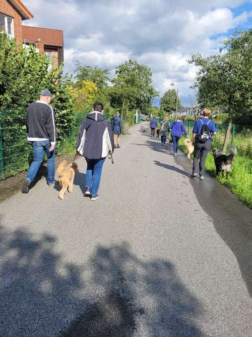 Hundeauslaufgebiet-JederHund-Bild