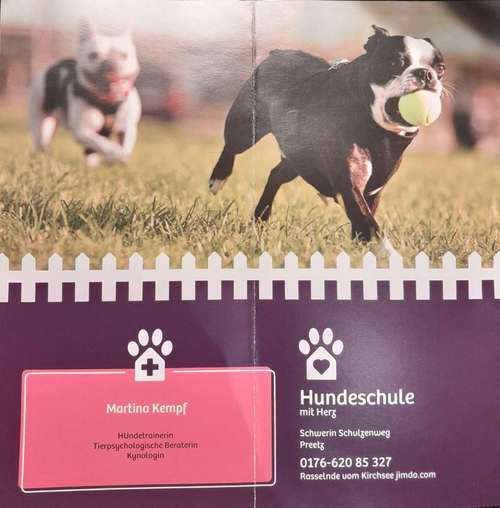 Hundeauslaufgebiet-Hundeschule Martina Kempf-Bild