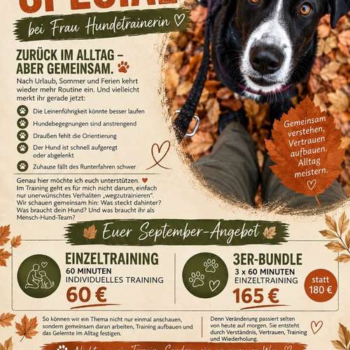 Hundeauslaufgebiet-Frau Hundetrainerin-Bild