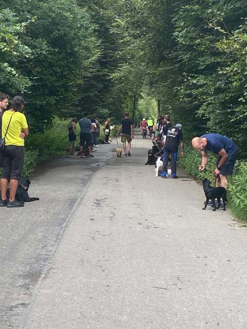 Hundeauslaufgebiet-CalmDog-Bild