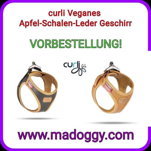 Hundeauslaufgebiet-madoggy®-Bild