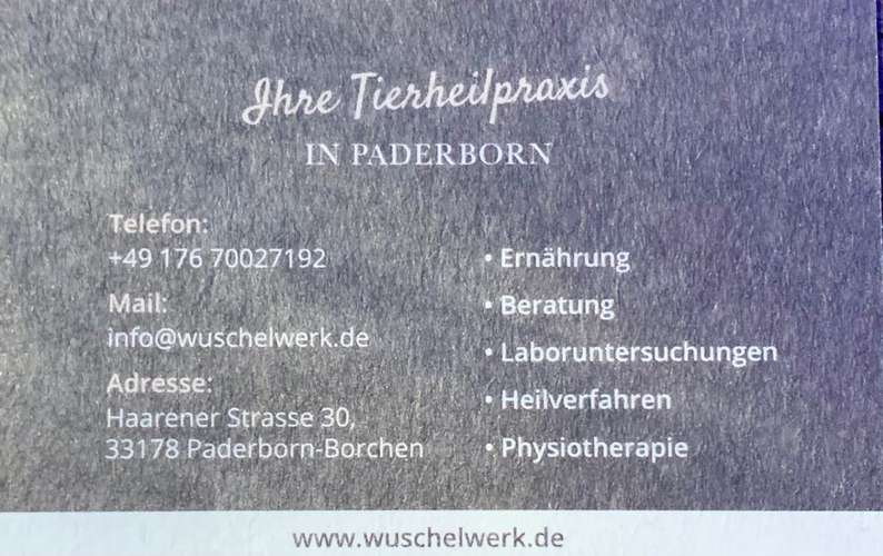 Hundeauslaufgebiet-Tierheilpraxis Wuschelwerk-Bild