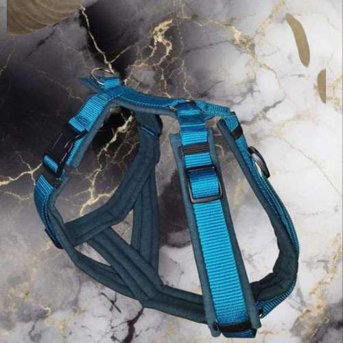 Hundeauslaufgebiet-Lucy´s dogstuff - Die Hundeschneiderei-Bild