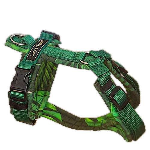 Hundeauslaufgebiet-Lucy´s dogstuff - Die Hundeschneiderei-Bild