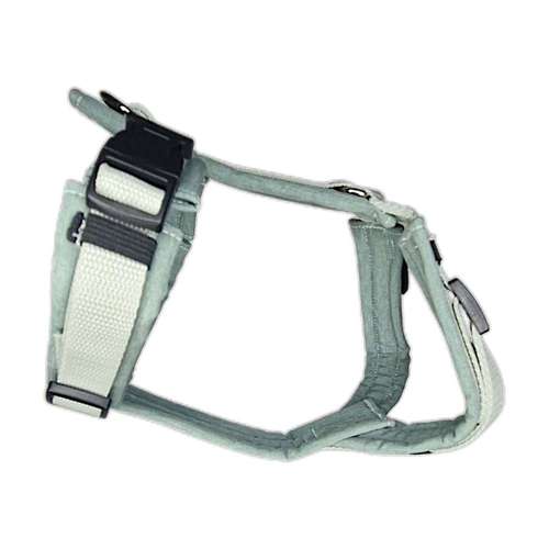 Hundeauslaufgebiet-Lucy´s dogstuff - Die Hundeschneiderei-Bild