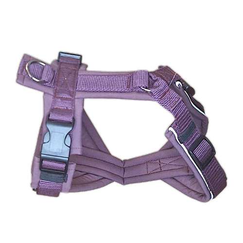 Hundeauslaufgebiet-Lucy´s dogstuff - Die Hundeschneiderei-Bild