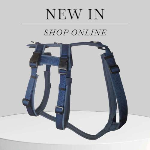 Hundeauslaufgebiet-Lucy´s dogstuff - Die Hundeschneiderei-Bild