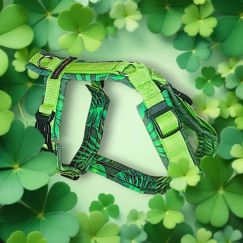 Hundeauslaufgebiet-Lucy´s dogstuff - Die Hundeschneiderei-Bild