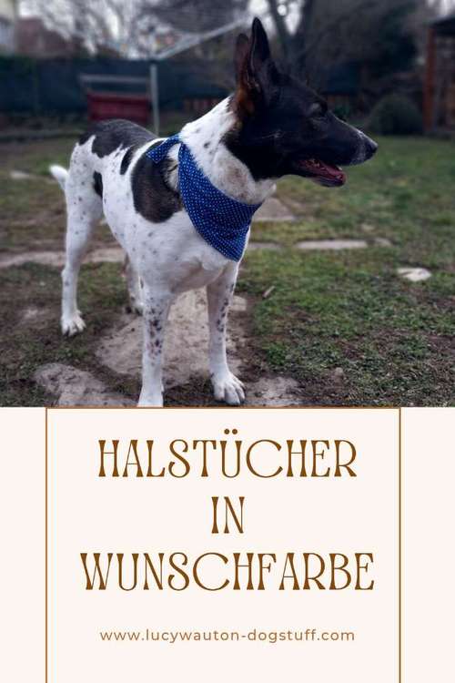 Hundeauslaufgebiet-Lucy´s dogstuff - Die Hundeschneiderei-Bild