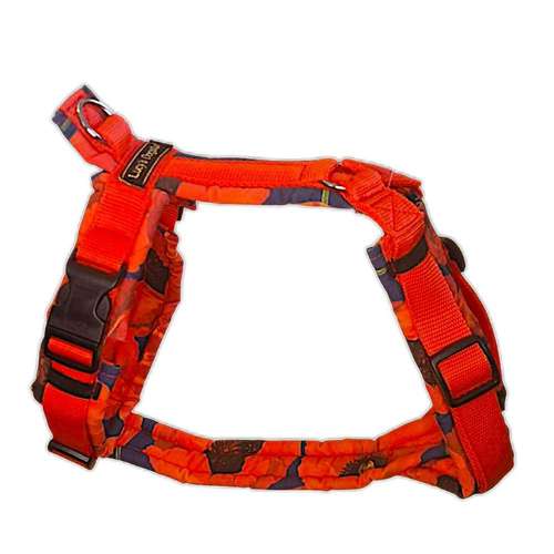 Hundeauslaufgebiet-Lucy´s dogstuff - Die Hundeschneiderei-Bild