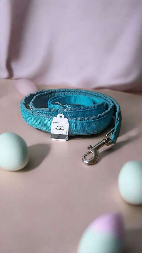 Hundeauslaufgebiet-Lucy´s dogstuff - Die Hundeschneiderei-Bild
