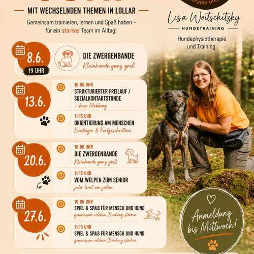 Hundeauslaufgebiet-Rund um Deinen Hund - Physio & Training-Bild
