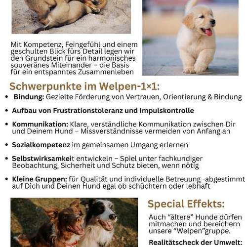 Hundeauslaufgebiet-Rund um Deinen Hund - Physio & Training-Bild