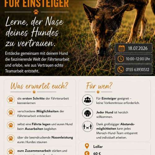 Hundeauslaufgebiet-Rund um Deinen Hund - Physio & Training-Bild