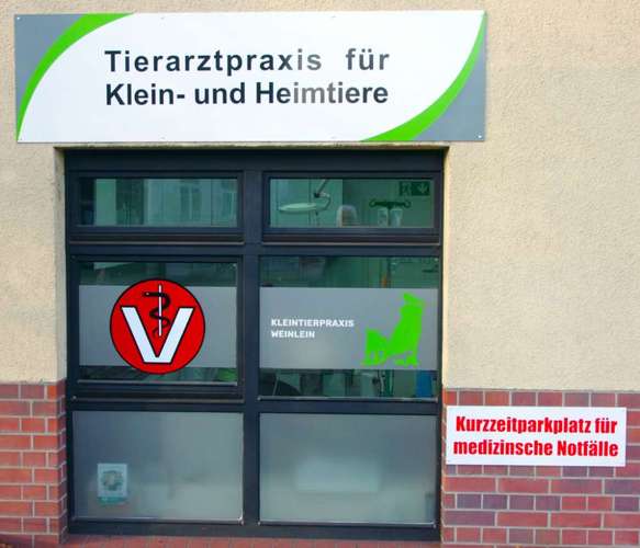 Hundeauslaufgebiet-Sascha Weinlein-Bild