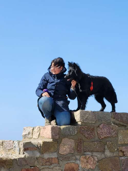 Hundeauslaufgebiet-Martin Rütter Hundeschule Cuxhaven/Bremerhaven Inh. Andrea Wirth-Horn-Bild