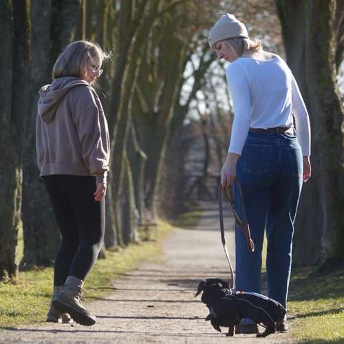 Hundeauslaufgebiet-Hund und Feinsinn-Bild