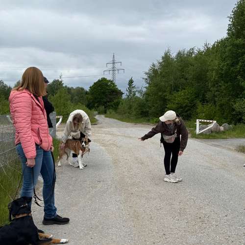 Hundeauslaufgebiet-Hund und Feinsinn-Bild