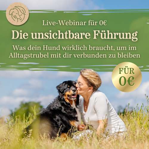 Hundeauslaufgebiet-Agnieszka Gajda - Dog Life Coaching-Bild