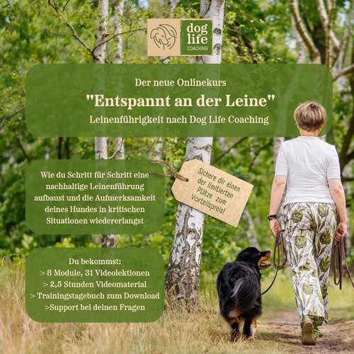 Hundeauslaufgebiet-Agnieszka Gajda - Dog Life Coaching-Bild