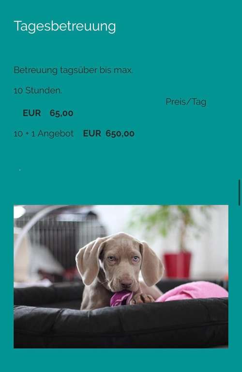 Hundeauslaufgebiet-Jennifer Sroka-Bild