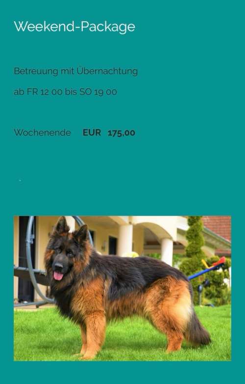 Hundeauslaufgebiet-Jennifer Sroka-Bild