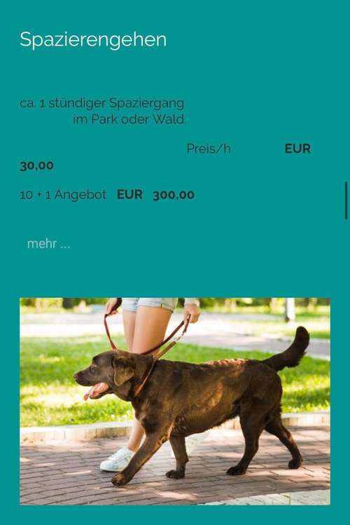 Hundeauslaufgebiet-Jennifer Sroka-Bild