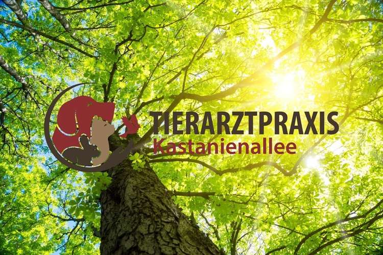 Hundeauslaufgebiet-Tierarztpraxis Kastanienallee-Bild