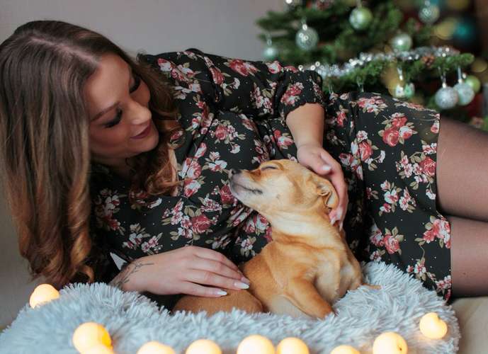 Hundeauslaufgebiet-Herz trifft Pfote-Bild