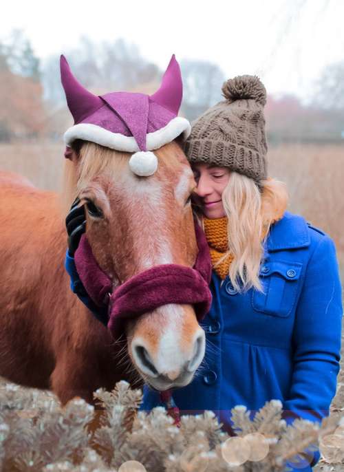 Hundeauslaufgebiet-Herz trifft Pfote-Bild