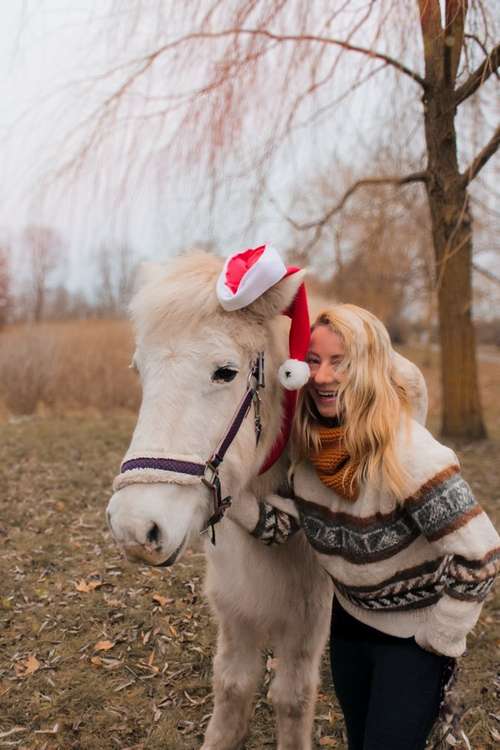 Hundeauslaufgebiet-Herz trifft Pfote-Bild