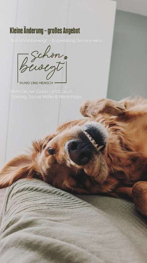 Hundeauslaufgebiet-schön.bewegt-Bild