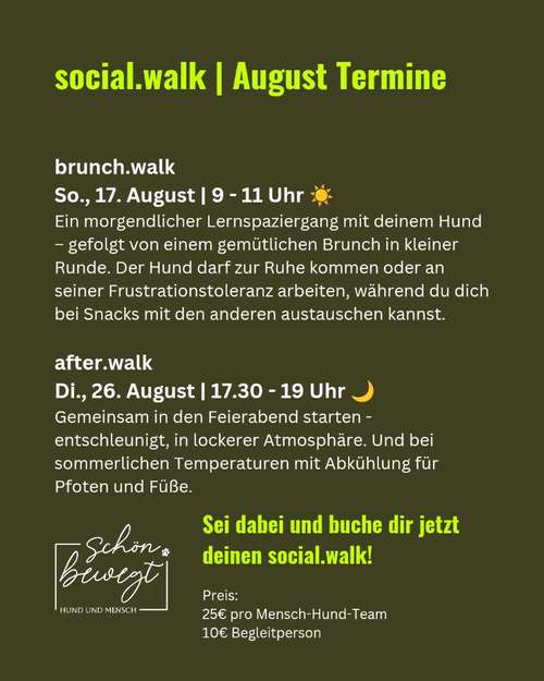 Hundeauslaufgebiet-schön.bewegt-Bild