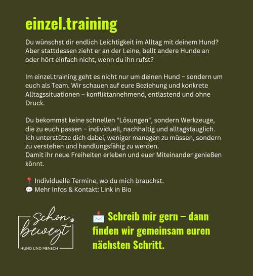 Hundeauslaufgebiet-schön.bewegt-Bild