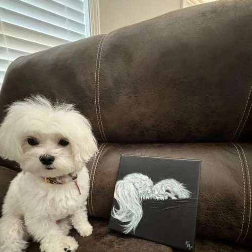 Hundeauslaufgebiet-Hundeporträt handgemalt nach Foto in Öl-Bild