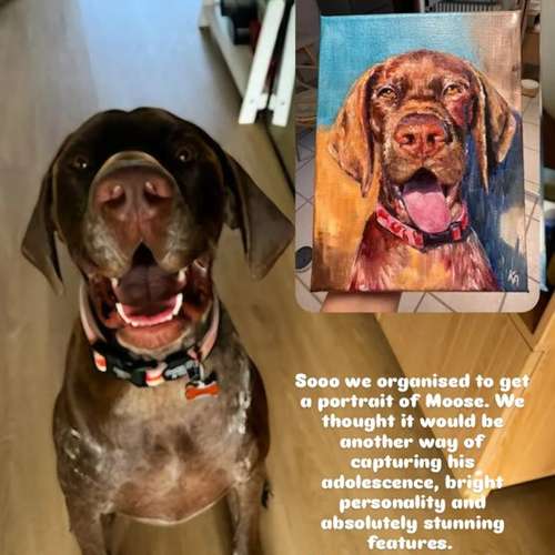 Hundeauslaufgebiet-Hundeporträt handgemalt nach Foto in Öl-Bild