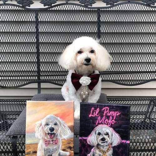 Hundeauslaufgebiet-Hundeporträt handgemalt nach Foto in Öl-Bild