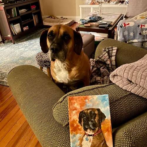 Hundeauslaufgebiet-Hundeporträt handgemalt nach Foto in Öl-Bild