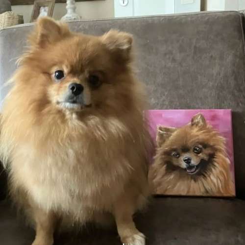 Hundeauslaufgebiet-Hundeporträt handgemalt nach Foto in Öl-Bild