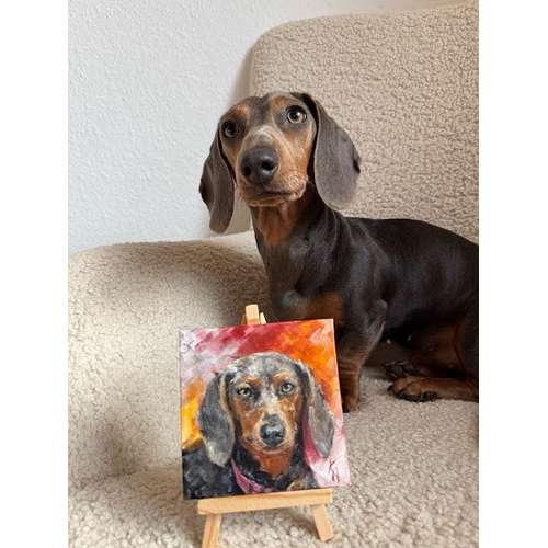 Hundeauslaufgebiet-Hundeporträt handgemalt nach Foto in Öl-Bild