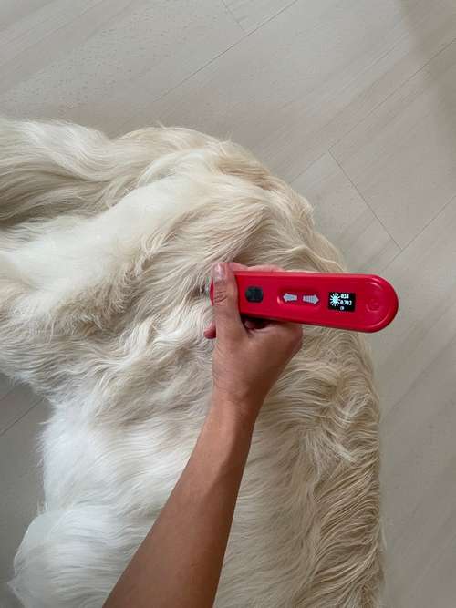 Hundeauslaufgebiet-aniveda Tierphysiotherapie-Bild