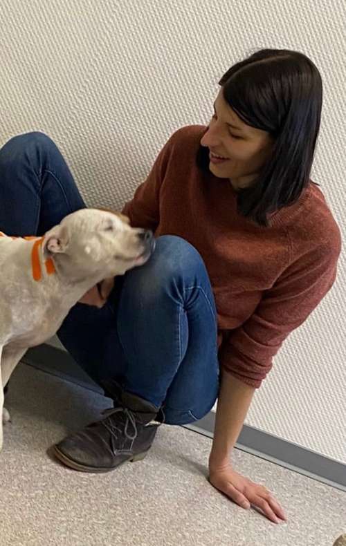 Hundeauslaufgebiet-aniveda Tierphysiotherapie-Bild